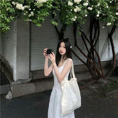 小熊历险记